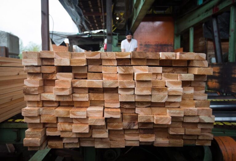 B.C. forestry sector warns of “breaking point”