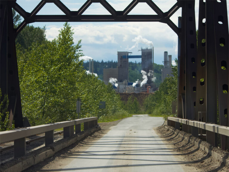 Inside the Fight to Save Forestry Jobs
