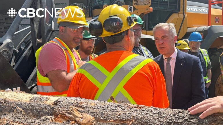 $1.2B lumber aid package won’t be enough, says B.C. forestry union leader
